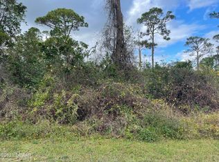 0 Quail Ranch Rd, New Smyrna Beach, FL 32168