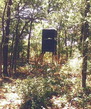 4th image of 712 County Road 389