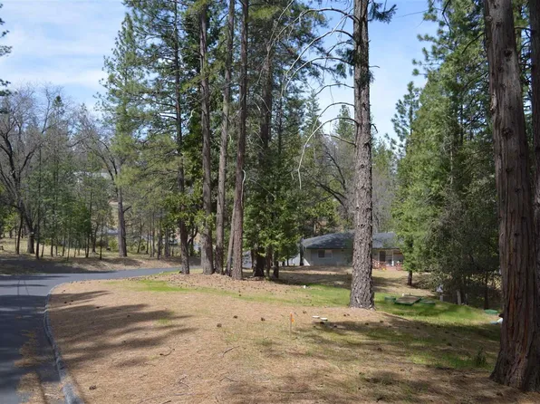 19593 Butler Way, Groveland, CA 95321