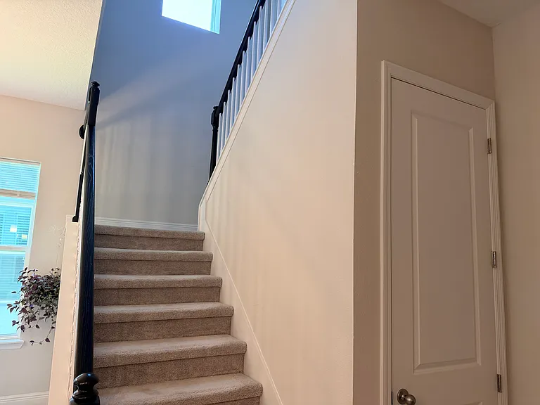 9936 Pallida Hickory Way — Photo 10