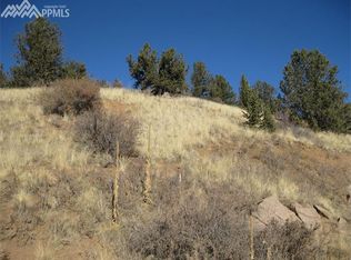 93 Wellington Dr, Cripple Creek, CO 80813