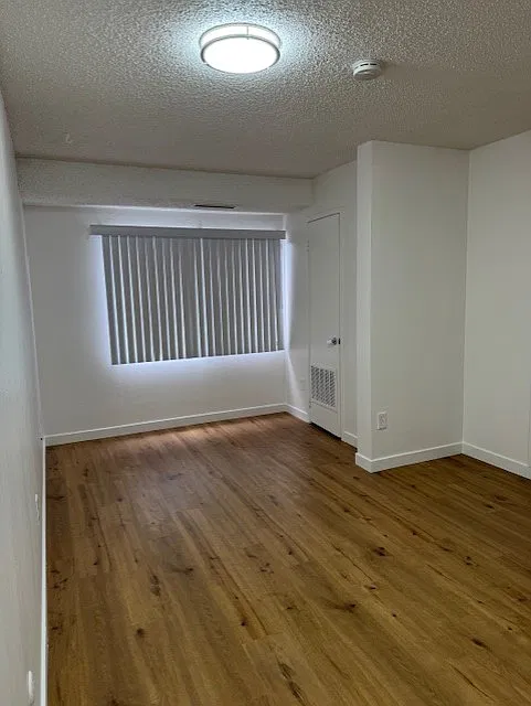 1 bed, 600 sqft, $1,500 — Photo 4