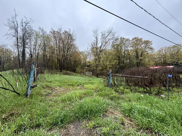 344 Quin Mo Lac Rd, Centre Hastings, ON K0K 2K0