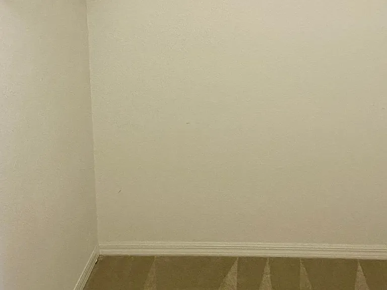 8919 Spring Mountain Way — Photo 17
