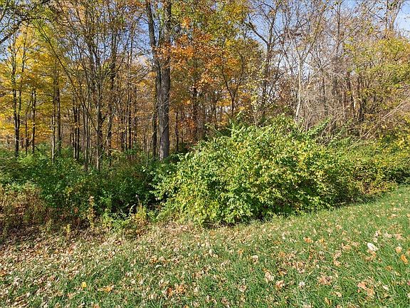 3rd image of 0 Liberty Trace Ln
