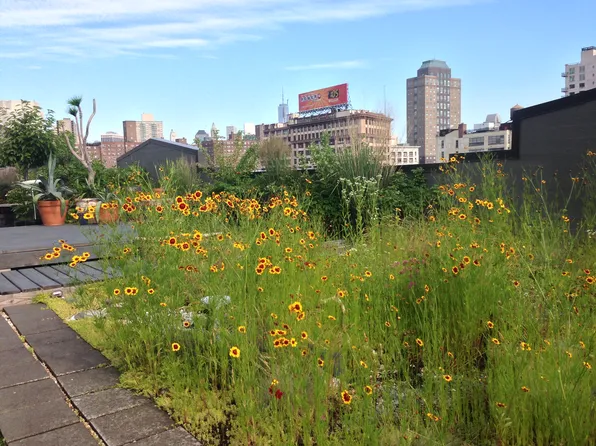 170 Tillary Street image 11 of 11