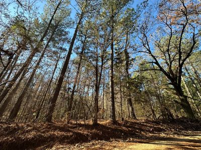 LOT 7 SAGGUS Road, Washington, GA, 30673