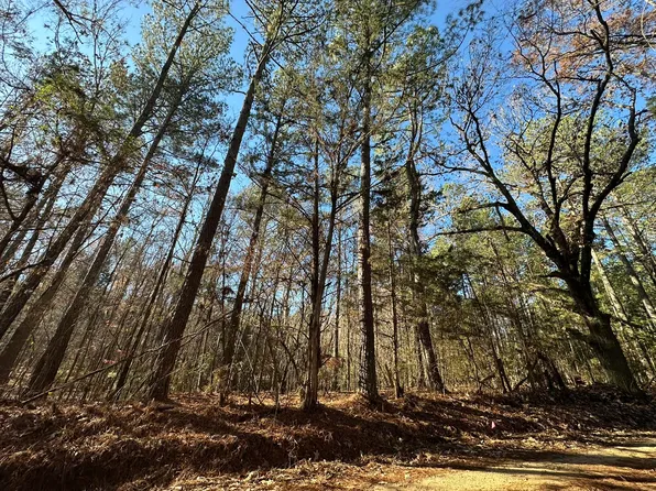 LOT 7 SAGGUS Road, Washington, GA 30673