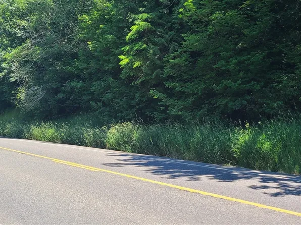 999999 SR Hwy 101, Quilcene, WA 98376