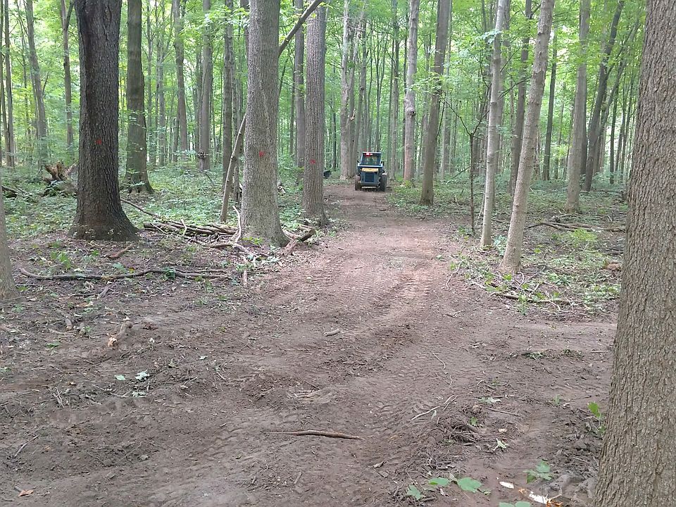 2nd image of 0 Old County Road 17