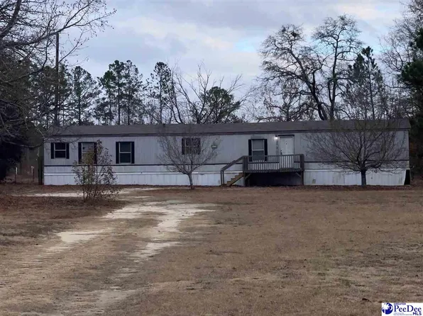 2017 Seaboard Rd, Wallace, SC 29596