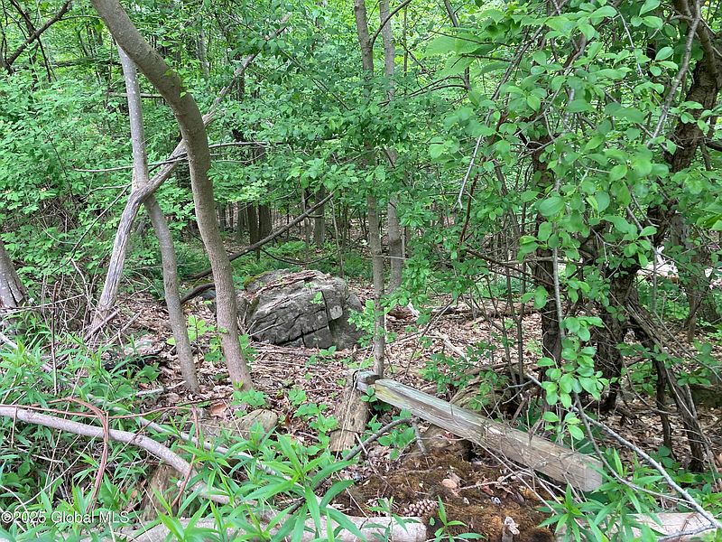 5th image of L3 Pine Springs Drive
