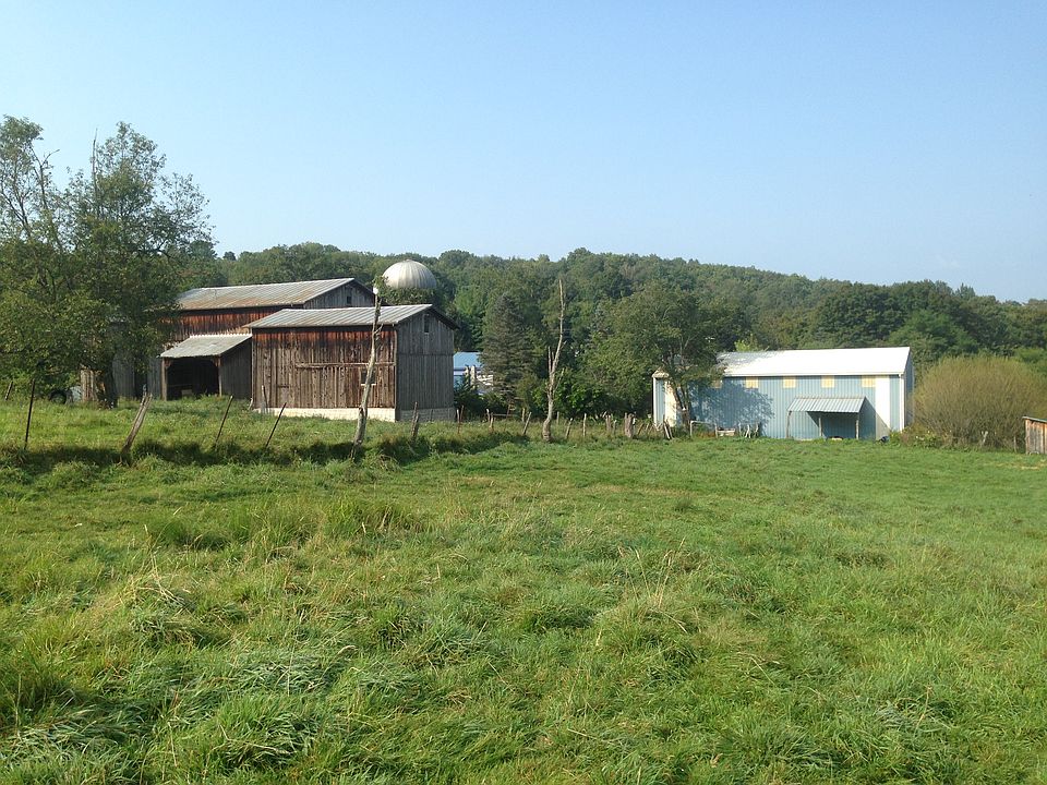 view from pasture