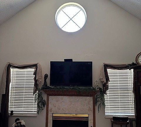 Living Area with fireplace