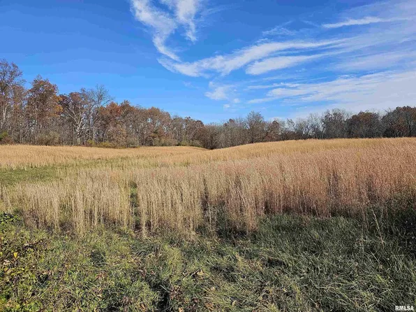 0 N Sunfish Ln, Woodlawn, IL 62898