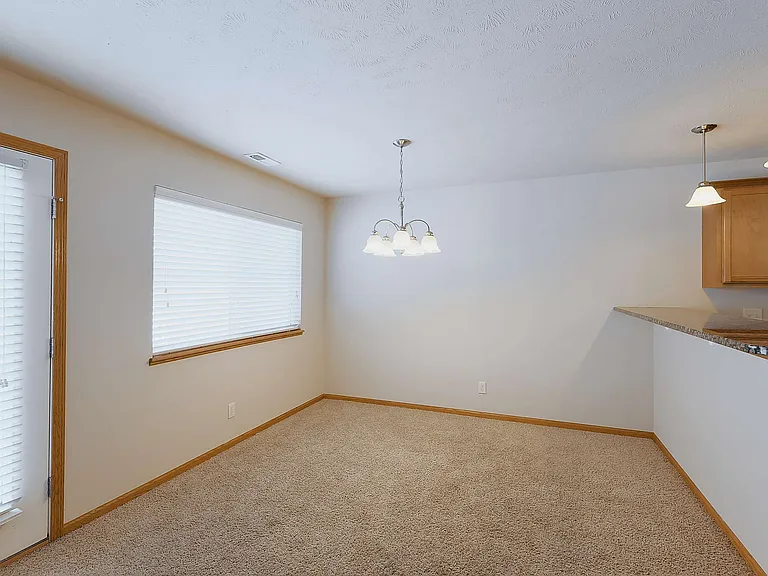 8815 Venice Ln — Photo 8