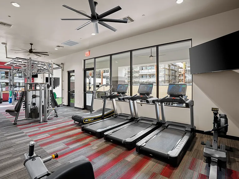 Cardio Equipment