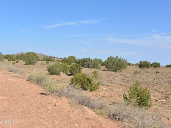 W Ridgeview Ranch Rd, Snowflake, AZ 85937