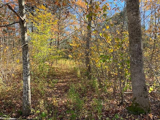 1st image of 0 Westbrook Street