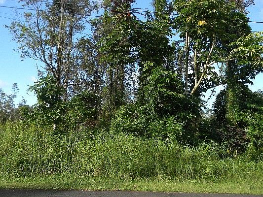 5th image of Mahimahi St Lot 863