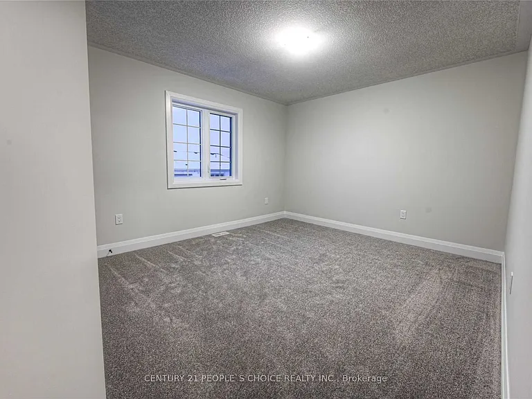 285 Raspberry Pl — Photo 19