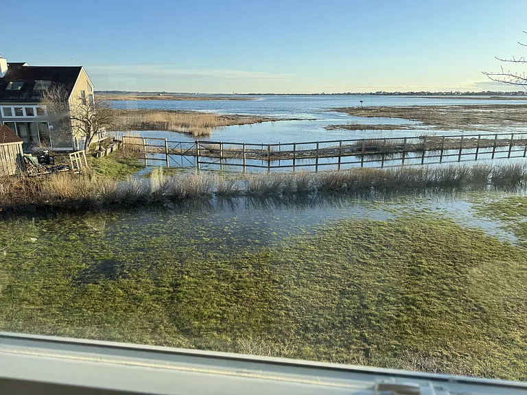 Plum Island Tpke — Photo 5