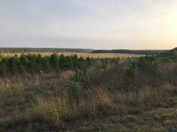 968 Fm, Hallsville, TX 75650