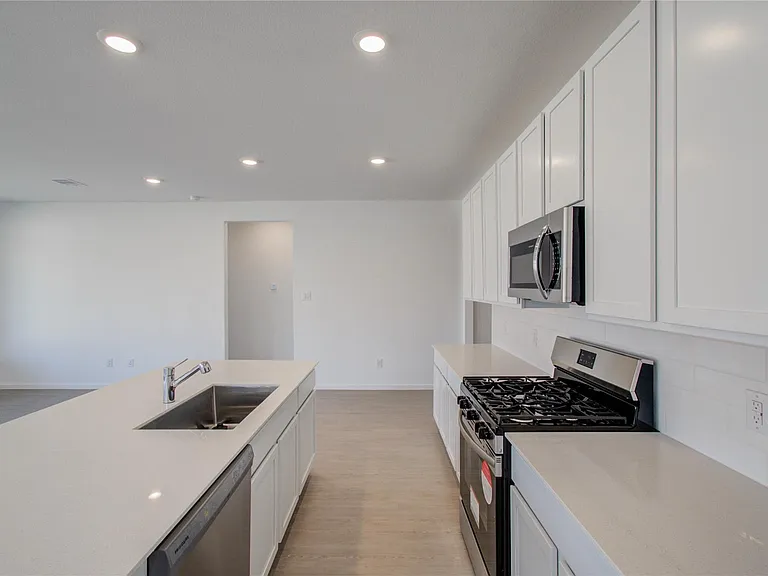 26514 Foxtail Fern Dr — Photo 11