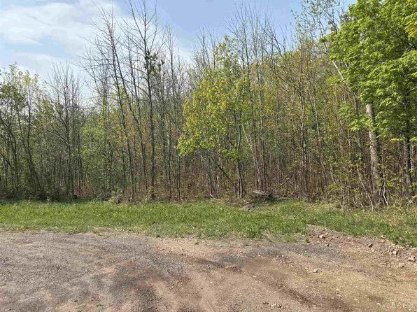 NULLB Gorton Rd, Hancock, MI 49930