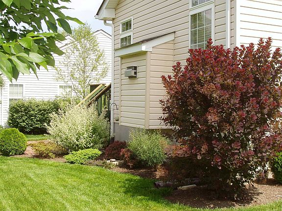 Back landscaping