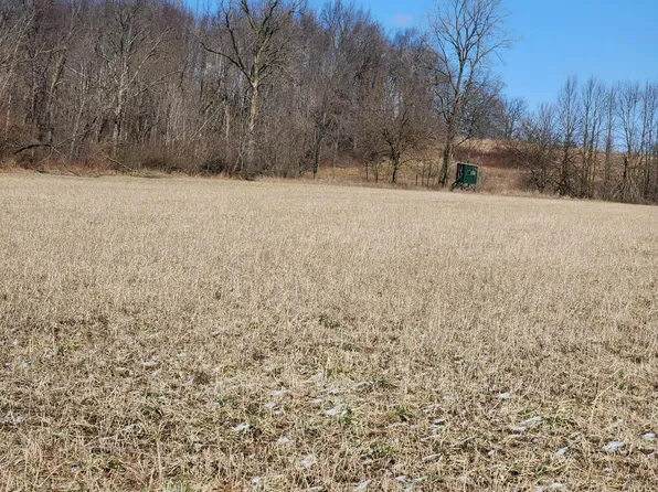 0 S County Line Rd, Homer, MI 49245