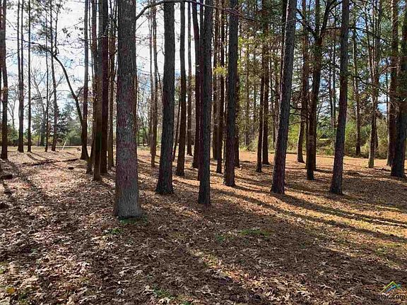 3rd image of 21827 County Road 2160