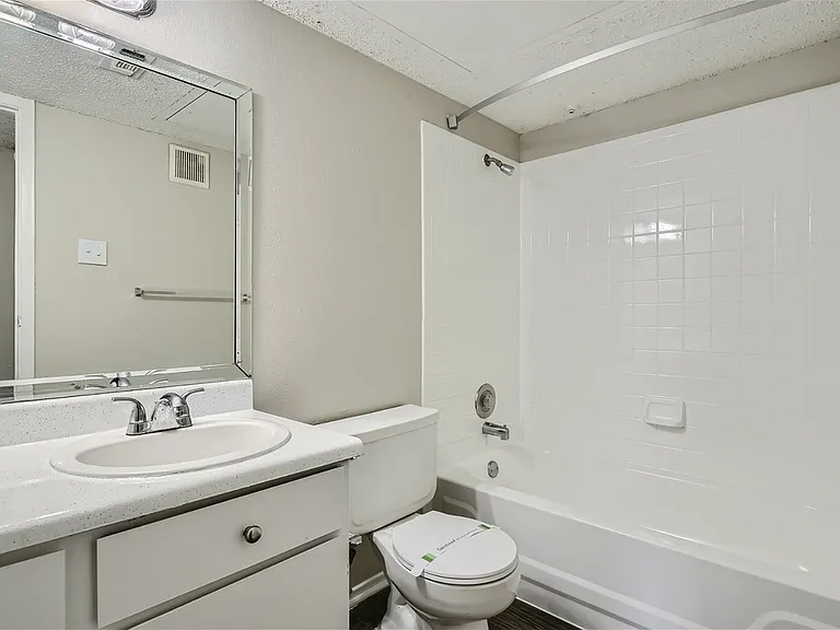 Rise Spring Pointe — Photo 161
