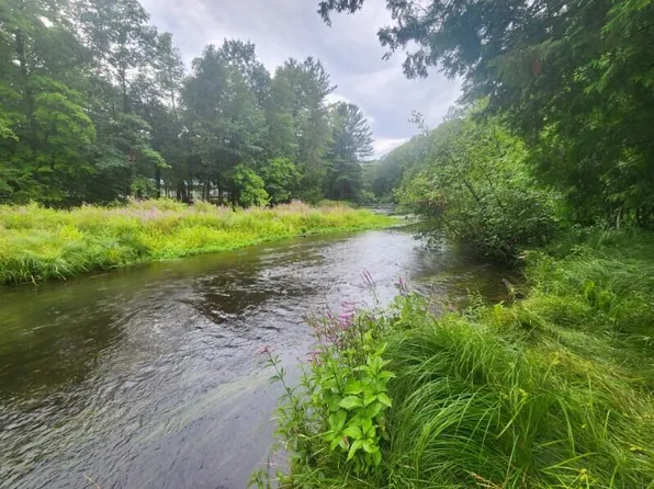 1379 N Apple Dr, White Cloud, MI 49349