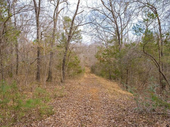 County Road 4917, Ben Wheeler, TX 75754