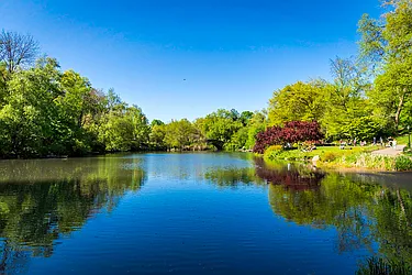 Rented by City Wide Apartments