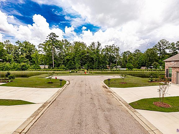 4th image of 10428 Belle Isle Dr