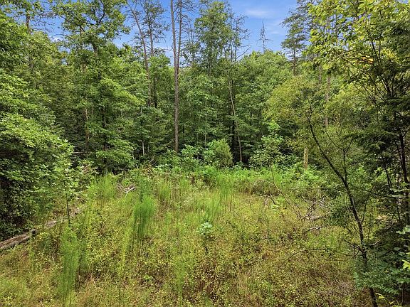 2nd image of 574 River Rd