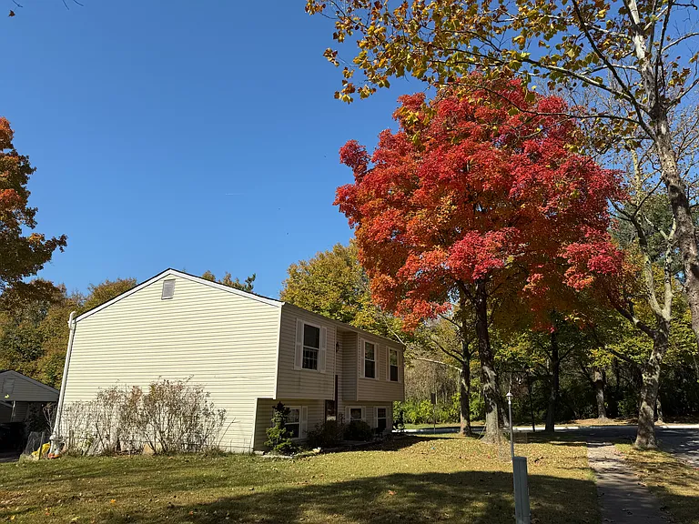 9250 Pigeonwing Pl — Photo 34
