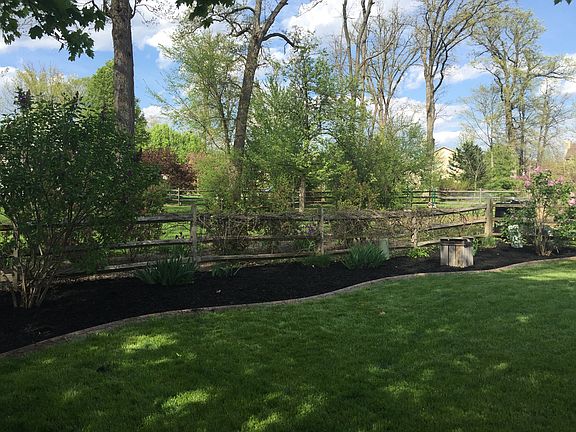 Back fence line