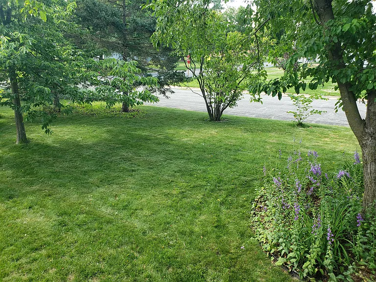 5200 Schofield St #5200 — Photo 22