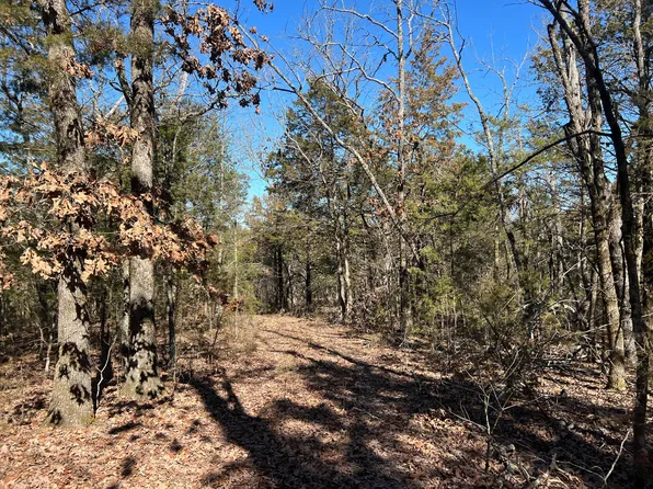 000 County Road 905, Theodosia, MO 65761