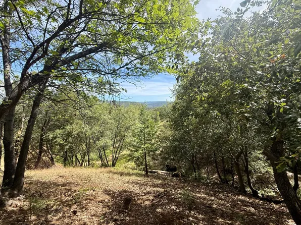 339 Snowberry Ct, Murphys, CA 95247