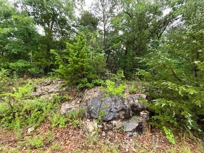 Lot 104 Crescent Drive, Hollister, MO, 65672