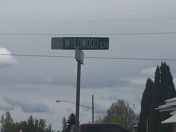 5th image of 419 Wyldwood Ln