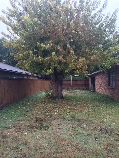 3 bed, 1577 sqft, $1,990 — Photo 3