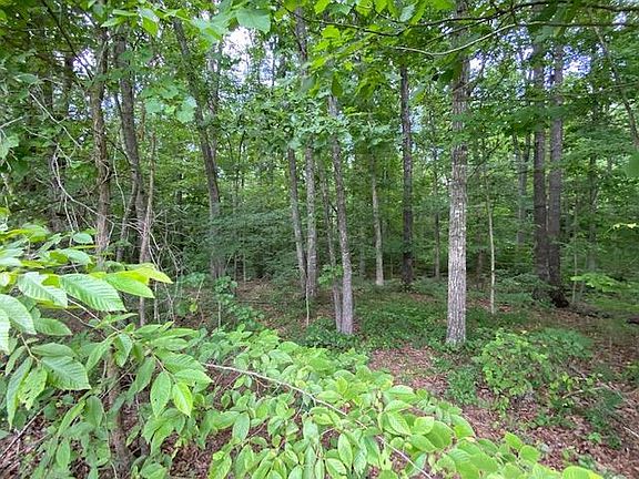 4th image of 0 Red Bud Cir