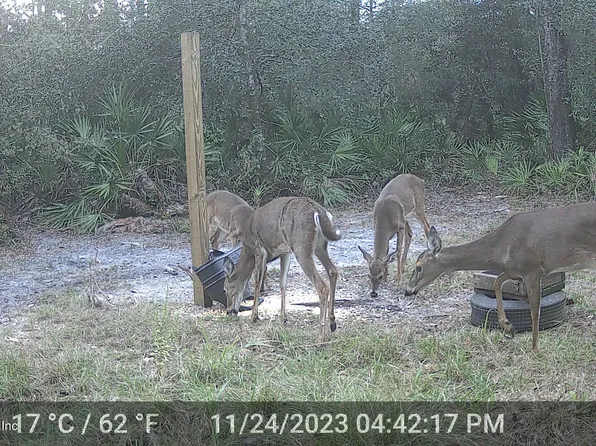 150 FAWN Trail, Palatka, FL 32177