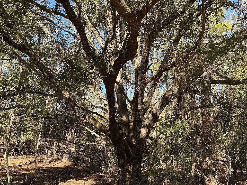 1st image of NE Blue Ridge Landing Ave