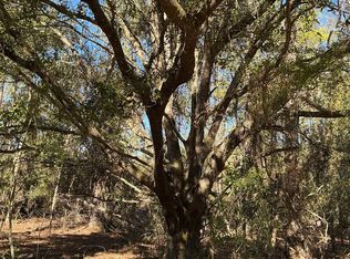 NE Blue Ridge Landing Ave, Lee, FL 32059